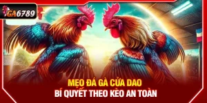 Mẹo Đá Gà Cửa Dao- Bí Quyết Theo Kèo An Toàn
