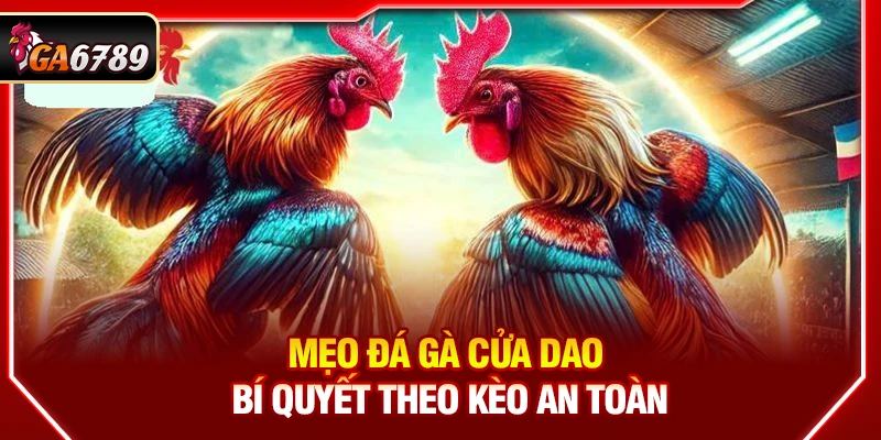 Mẹo Đá Gà Cửa Dao- Bí Quyết Theo Kèo An Toàn