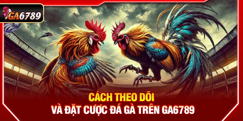 Cách theo dõi và đặt cược đá gà trên Ga6789