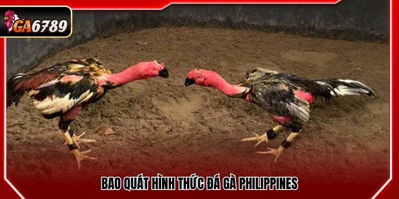 Giới thiệu bao quát về hình thức đá gà Philippines