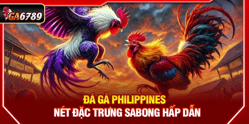 Đá gà Philippines - Nét đặc trưng Sabong hấp dẫn
