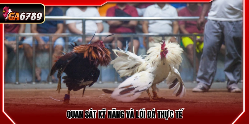 Theo dõi kỹ năng cùng lối đá trong thực tế
