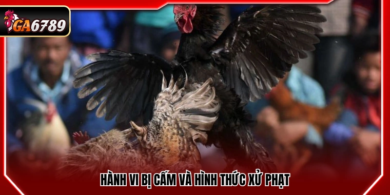 Các hành vi vi phạm và mức xử phạt tương ứng