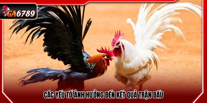 Những yếu tố tác động đến kết quả thi đấu